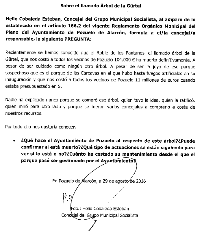 arbol-carcavas-1