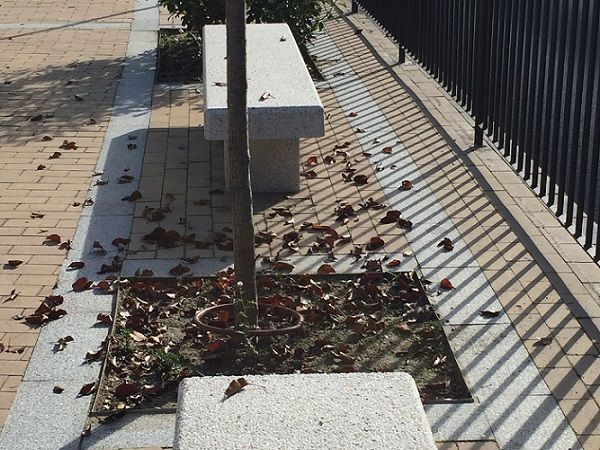 banco-campomanes-1