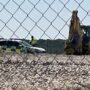 Pozuelo vive el momento más esperpéntico de su historia (la Policía Municipal expedienta al propio Ayto, del que depende, por falta grave) y la Oposición guarda un ominoso silencio