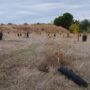 Retrato en ocre del Parque Forestal Adolfo Suárez, ese lugar en el que la magia se mezcla con el abandono, mostrando cruelmente cómo el Ayto de Pozuelo nunca lo ha comprendido